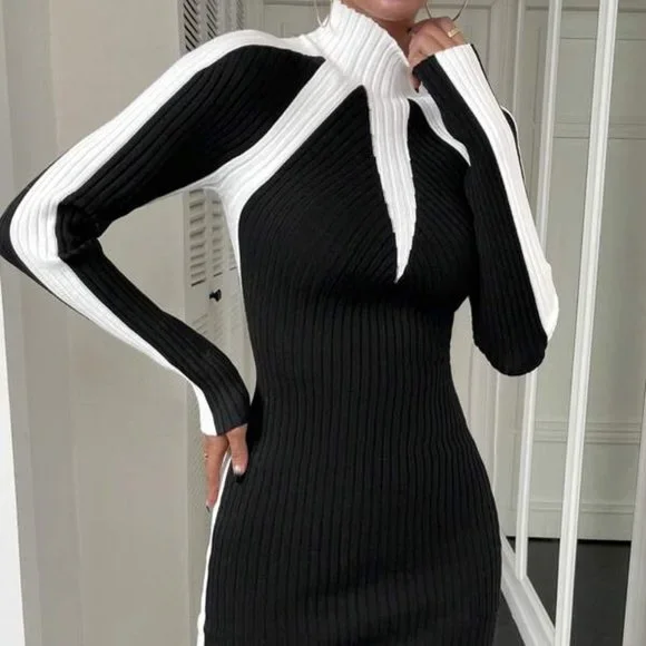Black and White  Mock Neck Bodycon Sweater Dress - Picture 4 of 5